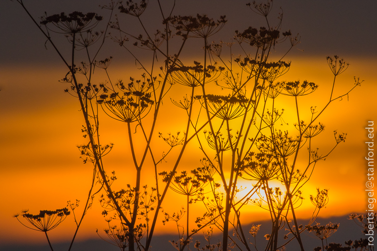 hayward regional shoreline